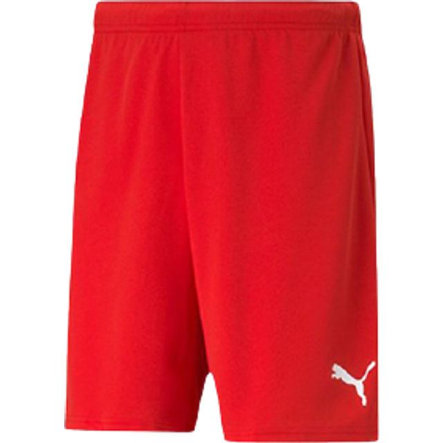 Puma teamRISE Shorts