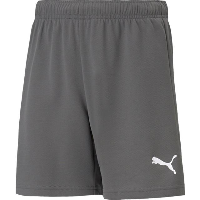 Puma teamRISE Shorts