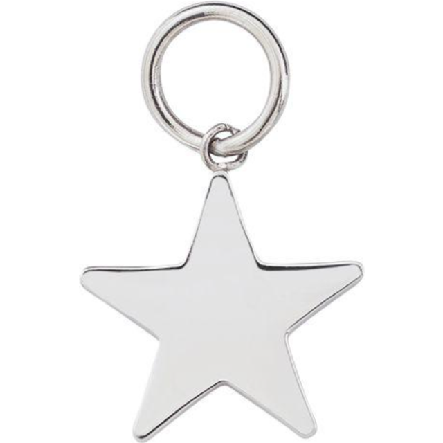 Edblad - Charmentity Star Steel