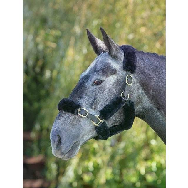 Shires ARMA SupaFleece Halter Fleeces: Natural Colour: Natural