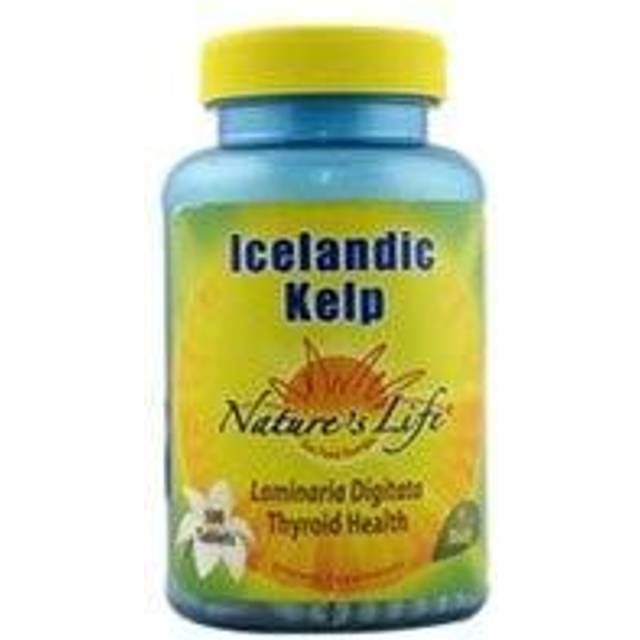 Nature's Life  Icelandic Kelp  41 mg  500 Tablets