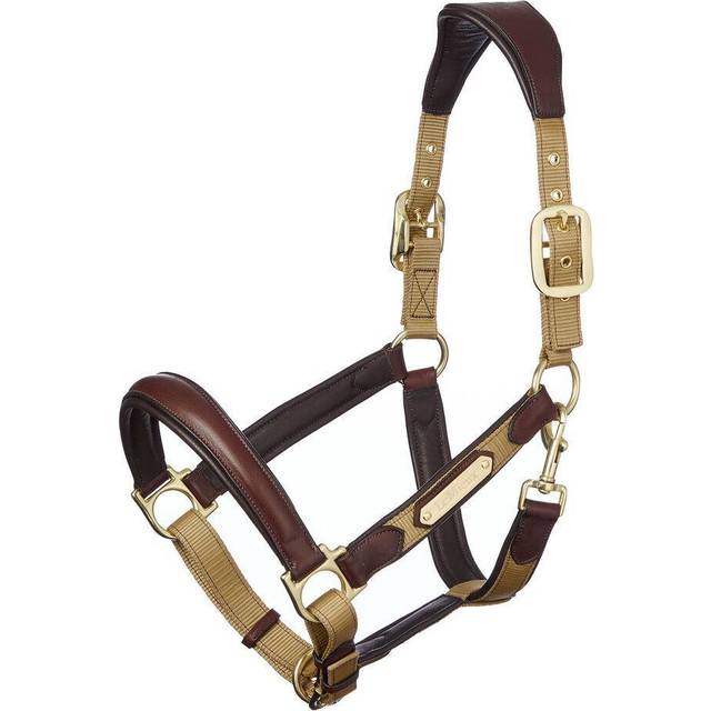 Lemieux Capella Headcollar Truffle - Pony