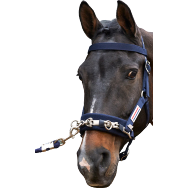 John Whitaker Cavesson Lunge - Navy / Cob