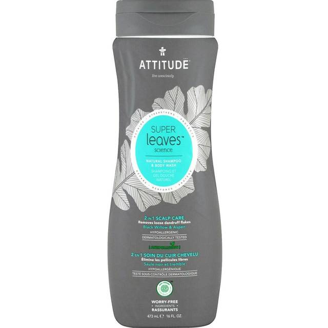 Attitude One Attitude Attitude, MEN, 2 in 1 Shampoo and Body Wash, SCALP CARE MEN