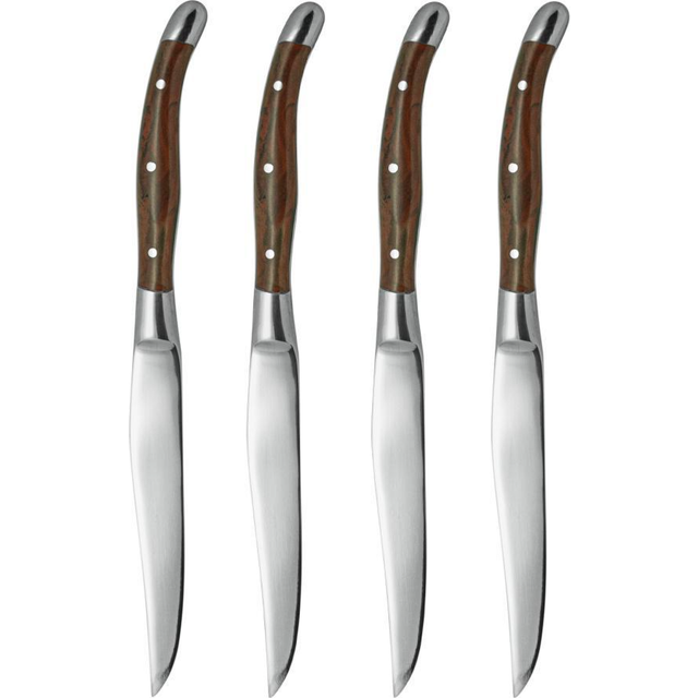 Xantia Rostfritt Grillknivset Aprilia