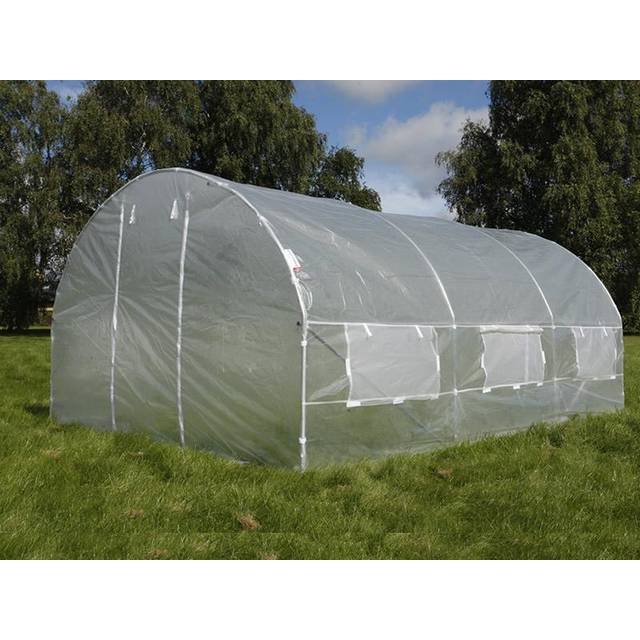 Dancover - Polytunnel Greenhouse 4x4x2 m, 16 m², Transparent