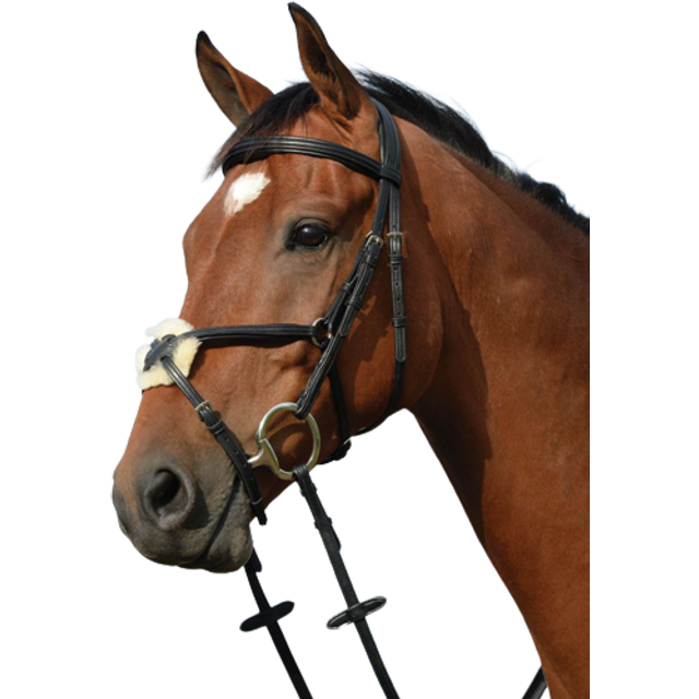 (Black, Warmblood) Collegiate Syntovia+ Padded Raised Figure 8 Bridle