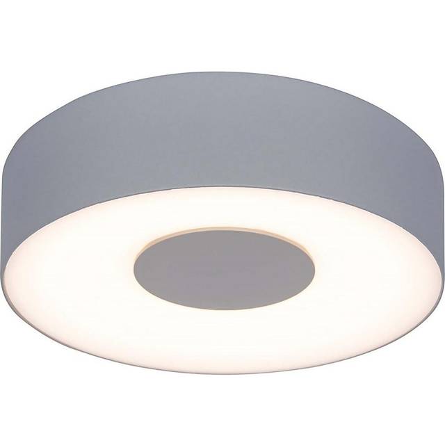 Lutec Ublo Wall & Ceiling Light Silver Integrated LED IP54
