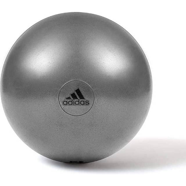 Adidas Pilatesboll Ø 55cm, Grå