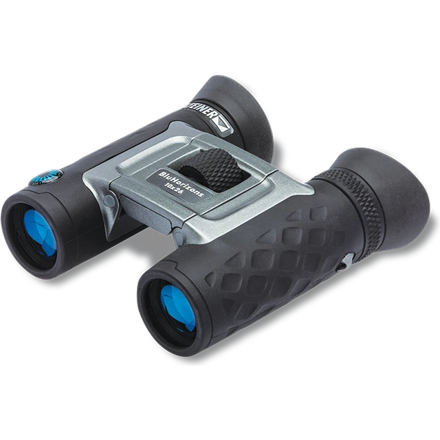 Steiner BluHorizons 10x26