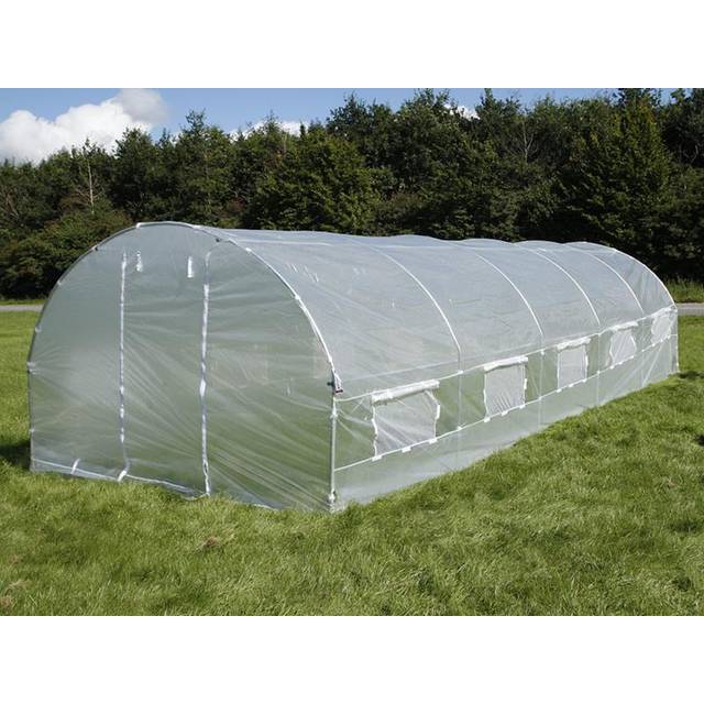 Dancover - Polytunnel Greenhouse 3x8x2 m, 24 m², Transparent
