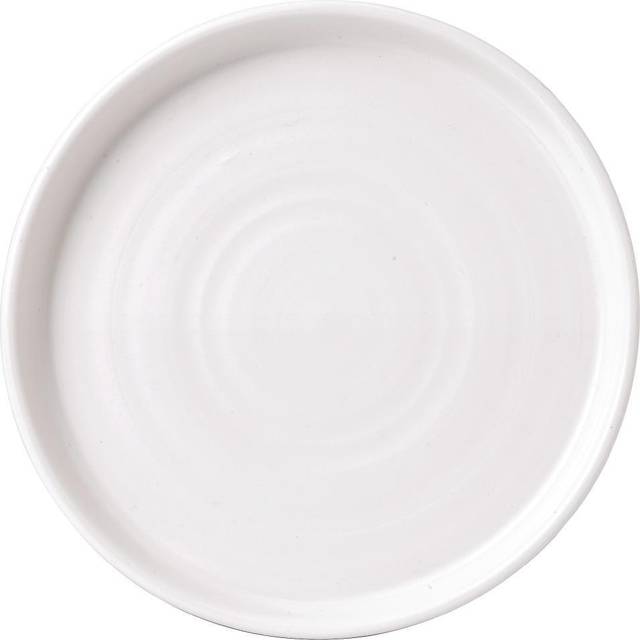Vellum White Walled Plate 8 1/4  (Box 6)