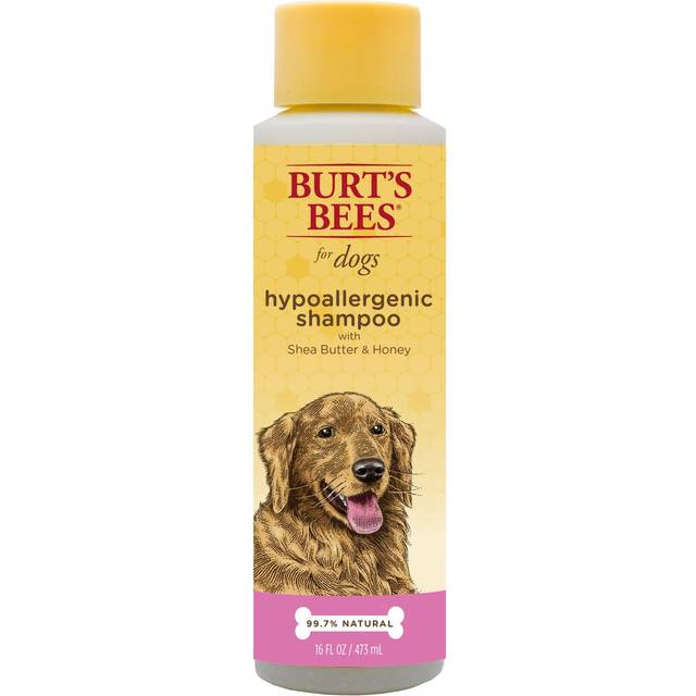Burt's Bees Pet Dog Hypoallergenic Shampoo Shea Butter & Honey 16 fl oz