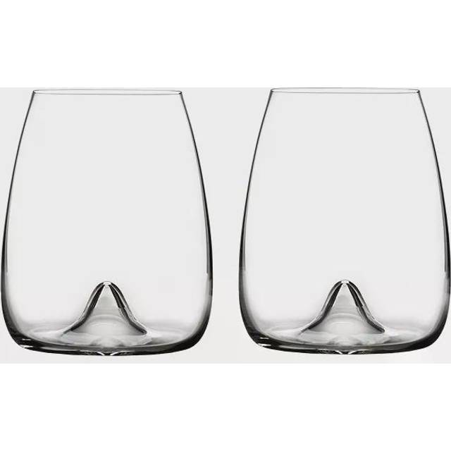Elegance Stemless Wine Glass, Set of 2 - Clear