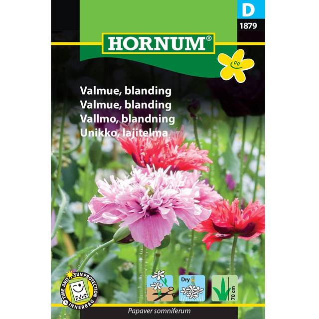 Hornum Valmue Blanding