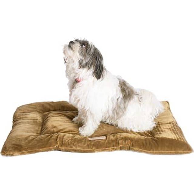 Armarkat Model M01CHL-M Medium Pet Bed Mat with Poly Fill Cushion in Sage Green