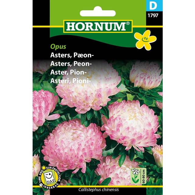Hornum Asters Pæon Opus Blomsterfrø