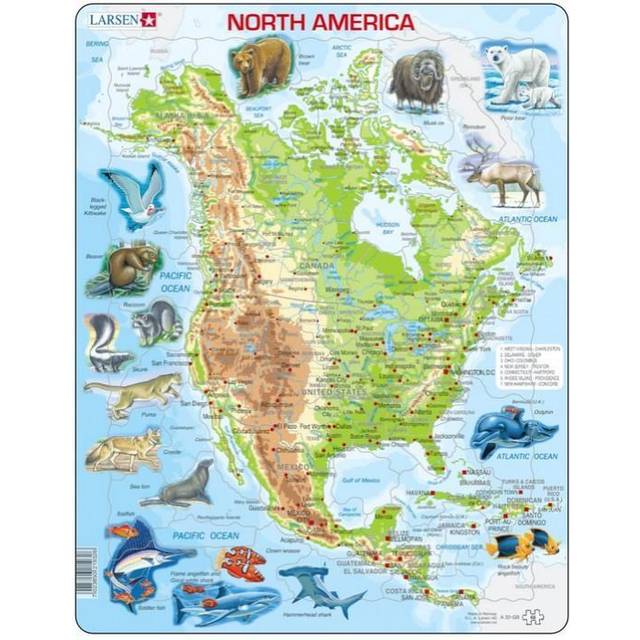 A32 North America Jigsaw Puzzle Topographic Map with Animals for Children Ages 6 and Up, English Edition - 66 Pieces | Educational Puzzle | Boxless