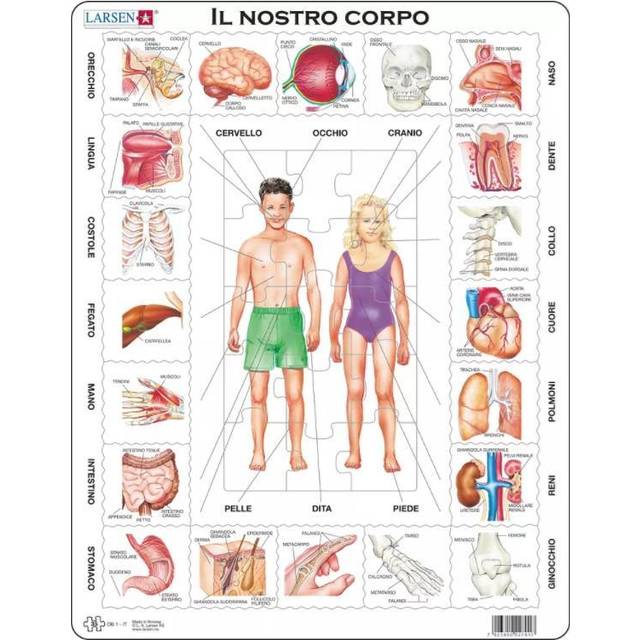 Frame Jigsaw Puzzle - Il Nostro Corpo (in Italian)