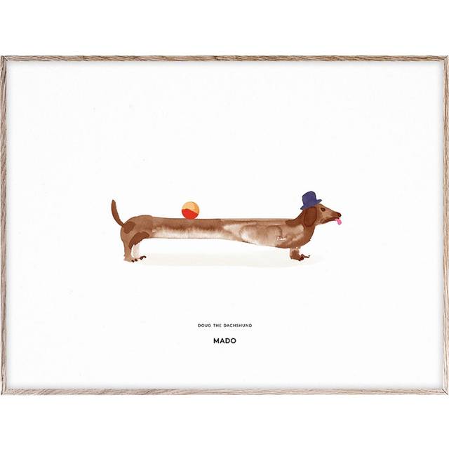 Paper Collective Doug the Dachshund poster 50x70 cm