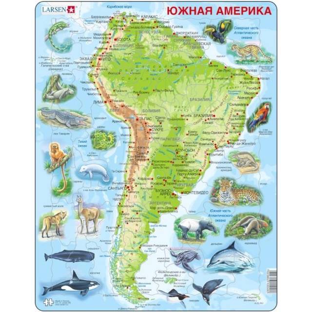 Frame Puzzle - South America (in Russian)