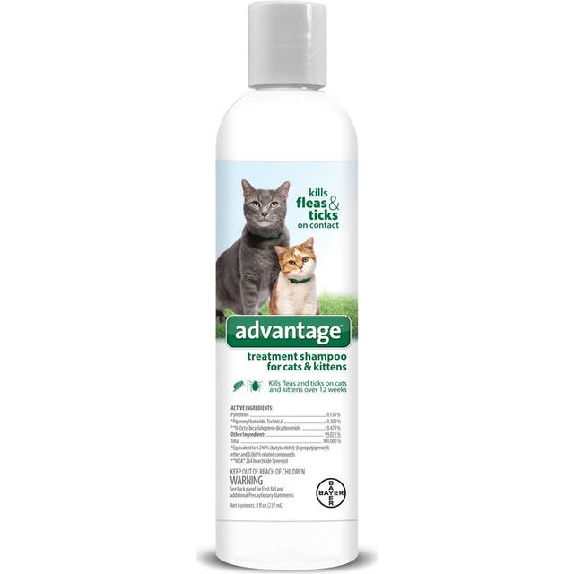 Kitten fashion shampoo petsmart