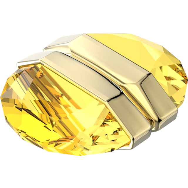 Swarovski Lucent Women&#39;s Earring