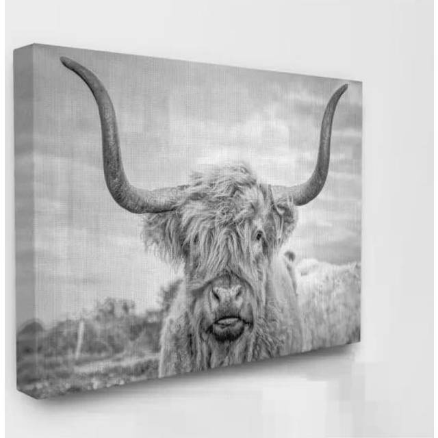 Stupell Industries Black and White Highland Cow Photograph Canvas Wall Art Design By Joe Reynolds 24 x 30