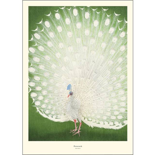 Poster & Frame - A.P. Atelier poster 30x40 cm peacock