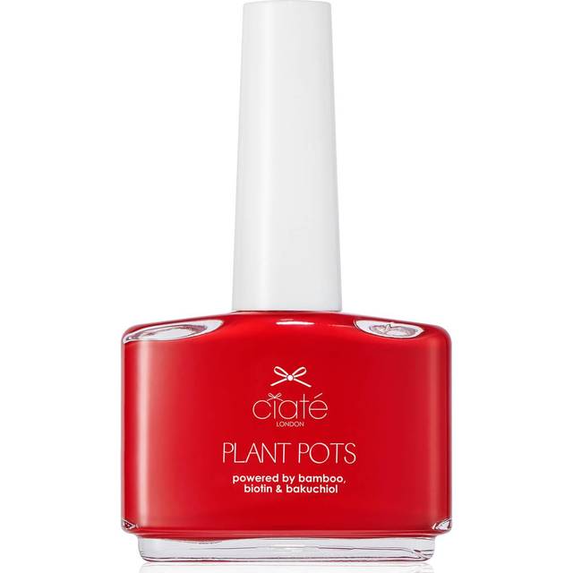 Ciate Plant Pot Vegan Friendly Nail Polish - Snatch 14ml (PPN005)
