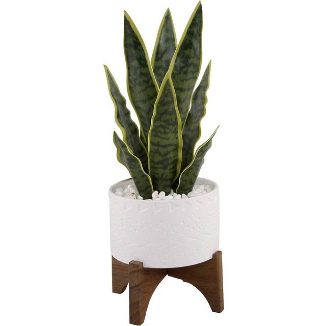 "Flora Bunda Artificial Succulent Faux Plant 15.5"""" H Snake Plant in 5"""