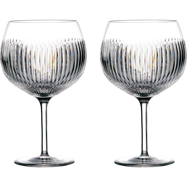Gin Journeys Aras Balloon Glass, Set of 2