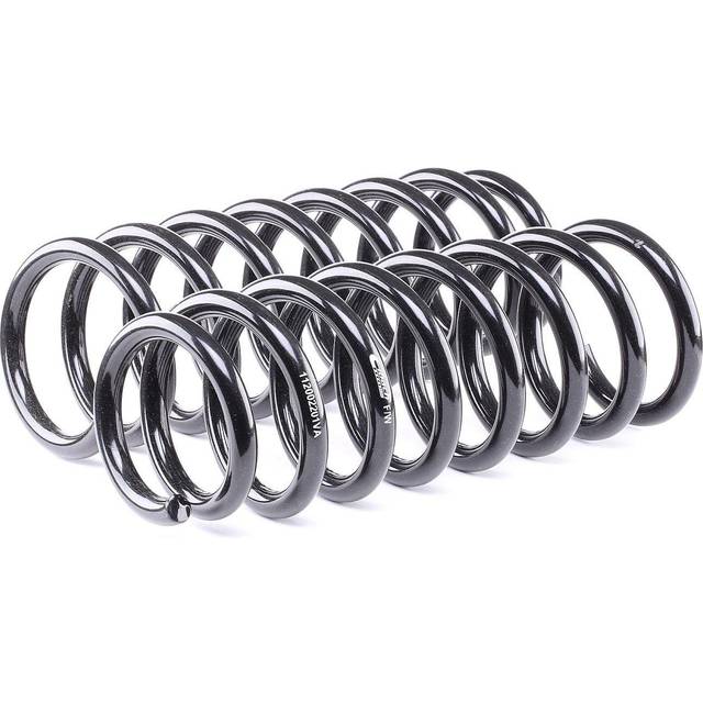 Chassis, springs E10200220420