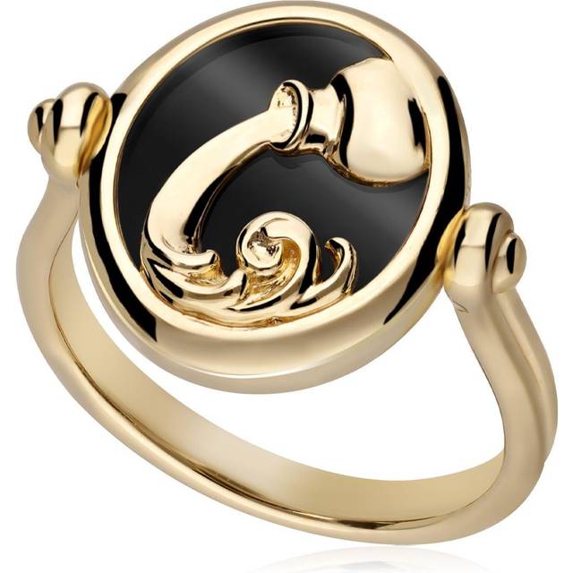 Zodiac Black Onyx Aquarius Flip Ring in 18ct Gold Plated Silver