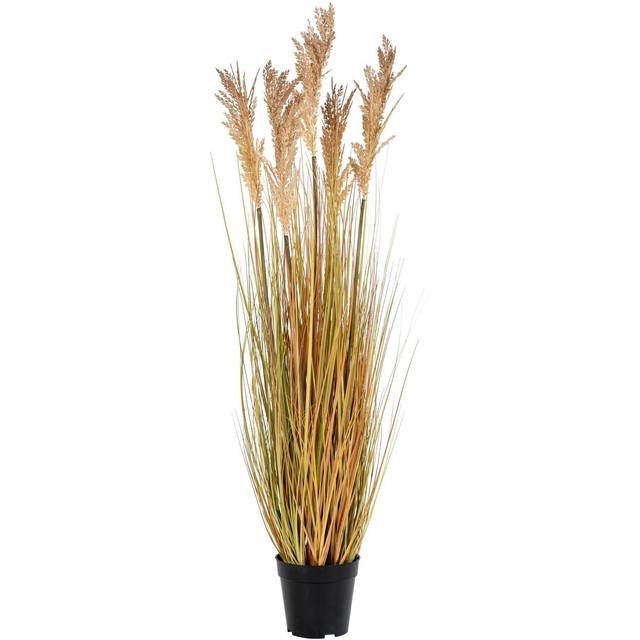 Artificial plant House Nordic Sorghum - Beige - 30x35x110 cm