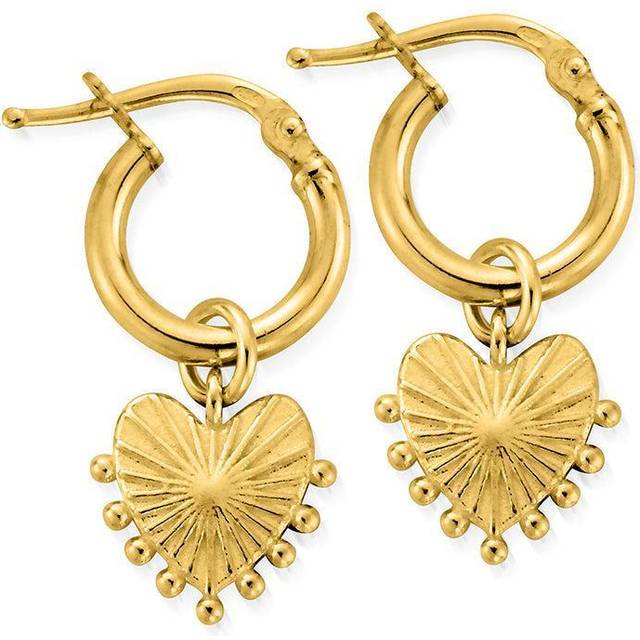 Gold Glowing Beauty Small Hoop Earrings GEH3197