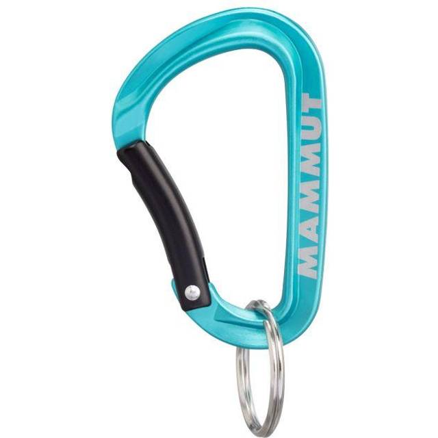Mammut Mammut Mini Carabiner Classic Keylock S storlek 6 cm blandade