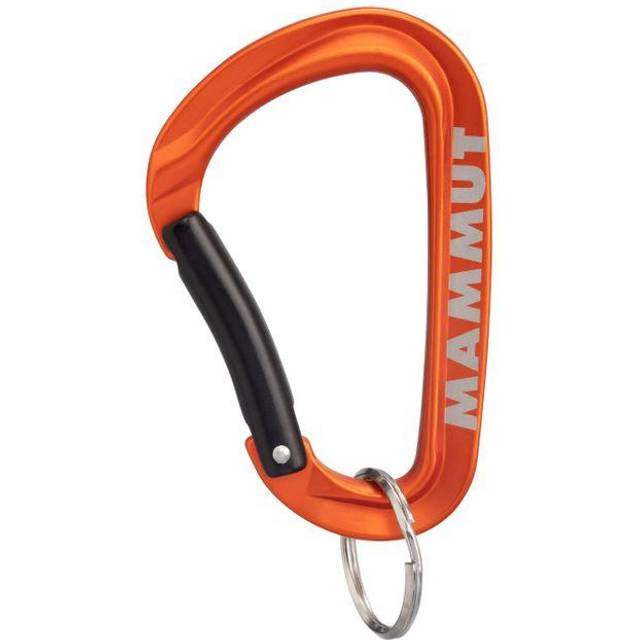 Mammut Mammut Mini Carabiner Workhorse Keylock L Black (one size)