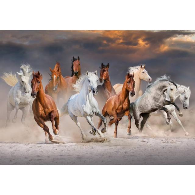 The Horse Race