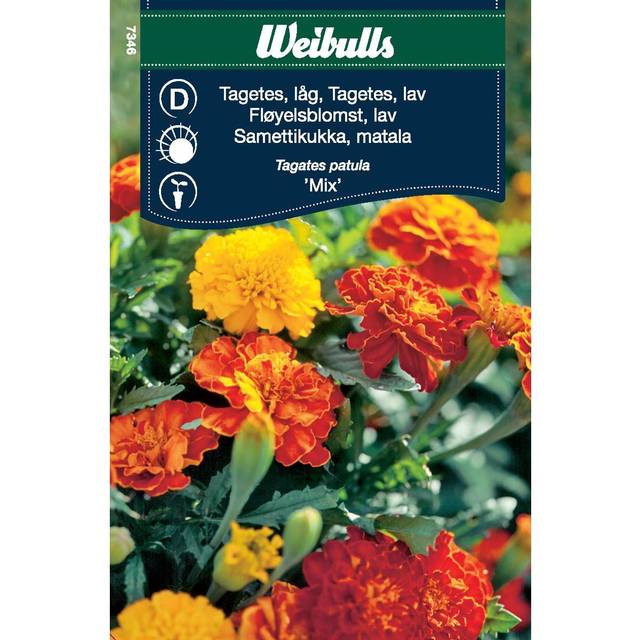 Weibulls Tagetes Tåg Mix Blomsterfrø
