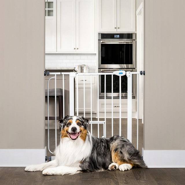 Carlson Pet Gate with Cat Flap - Height 76.2cm, Width 73.66 - 92.71cm