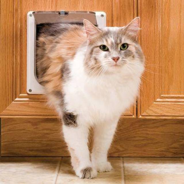 PetSafe Interior Cat Door: 2-Way Locking  Indoor Pet Door Flap - Tinted Privacy Door for Cat Litter Box or Pet Feeder  Built-In Door Lock  Durable Doo