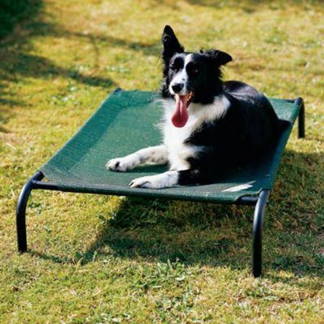 Coolaroo The Original Cooling Elevated Pet Bed  Medium  Brunswick Green