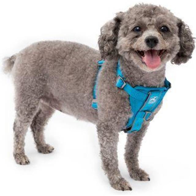Kurgo Tru-Fit Smart Harness, Dog Harness, Pet Walking Harness, Quick Release Buckles, Front D-Ring for No Pull Training, Includes Dog Seat Belt Tether