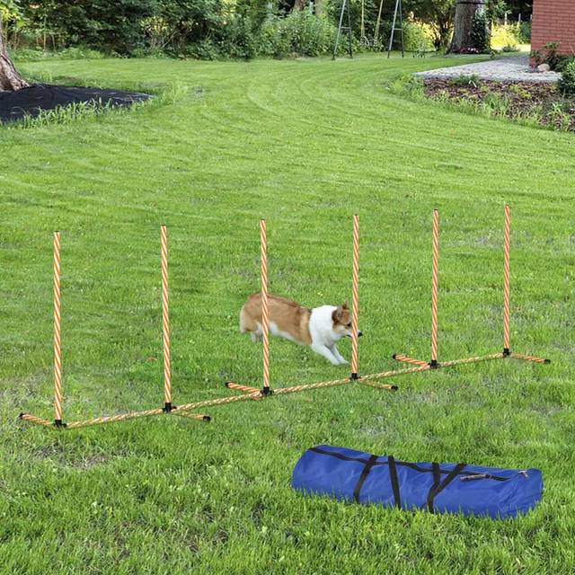 PawHut Dog Agility Weave Poles Training Obstacle Course Set with Whistle