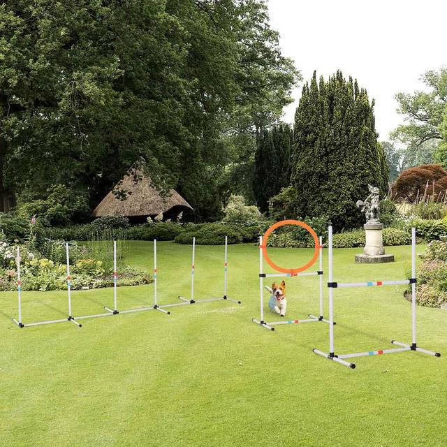 PawHut 3 Piece Pet Agility Training Equipment Dog Play Run Jump Obedience Training Set Adjustable (Pole + Hoop + Hurdle) | TJ Hughes