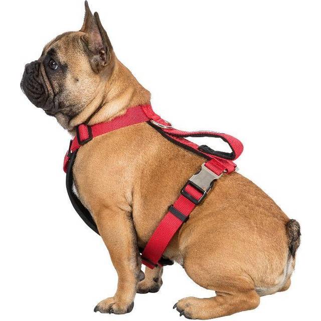 (S/M, Postbox Red) Trespaws Pet Car Safety Harness Tanked