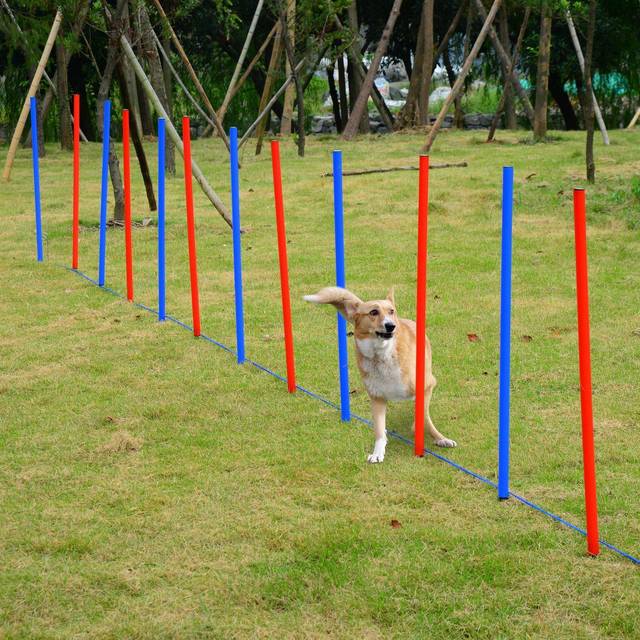 Pawhut Comprehensive Pet Agility Training Set, Outdoor Run and Jump Course Kit for Dogs Aosom UK