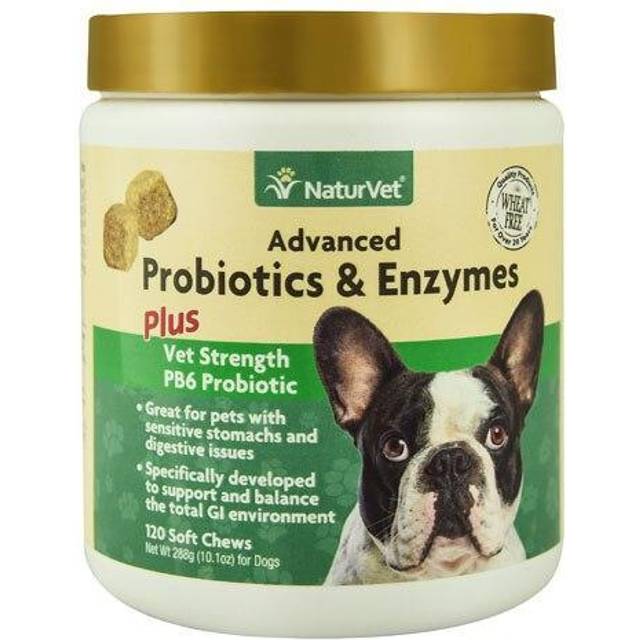 NaturVet  Advanced Probiotics & Enzymes  + Vet Strength PB6 Probiotic  For Dogs  120 Soft Chews  10.1 oz (288 g)