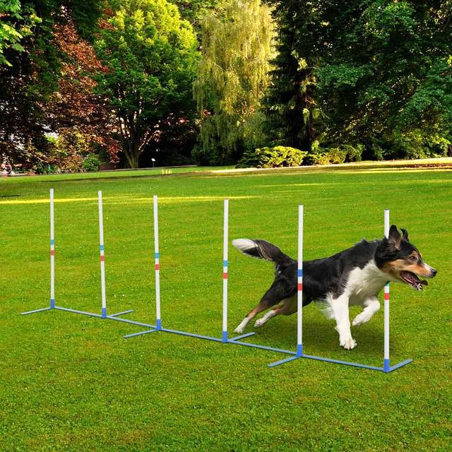 PawHut Dog Weave Pole Set Agility Starter Kit Pet Outdoor Exercise Training Set | TJ Hughes